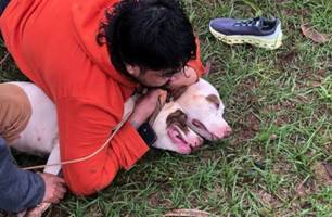 Lutador de muay thai imobiliza dois pitbulls após sofrer ataques em MS (Foto: Ernesto Chaves)