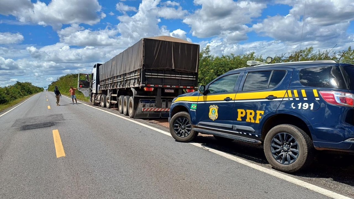 Madeira ilegal e aves em cativeiro: PRF reforça combate a crimes ambientais