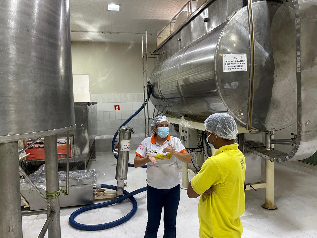 Mel produzido em Simplício Mendes é exportado para o Japão pela primeira vez