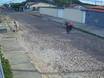 Motociclista realiza o 'grau' e causa acidente em cruzamento de Parnaíba; vídeo