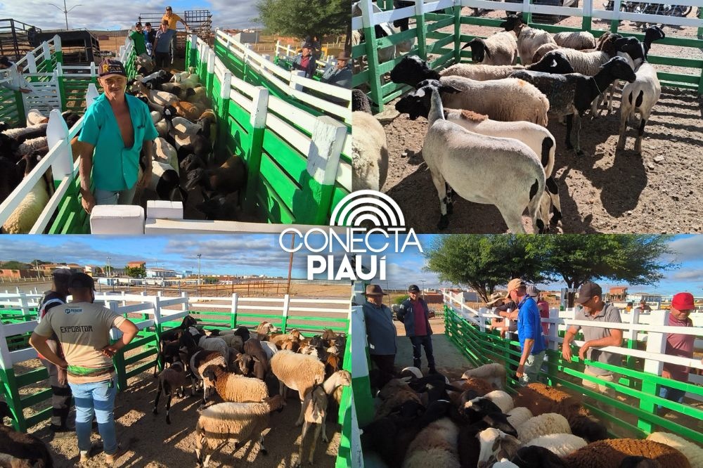 Município de Paulistana recebe a 5ª edição do projeto Diálogos pelo Piauí