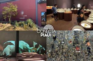 Museu da Natureza encanta turistas na Serra da Capivara (Foto: Conecta Piauí / Maria Clara César)