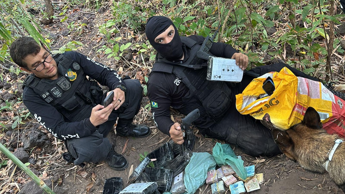 Operação DENARC 47/Boca Fechada
