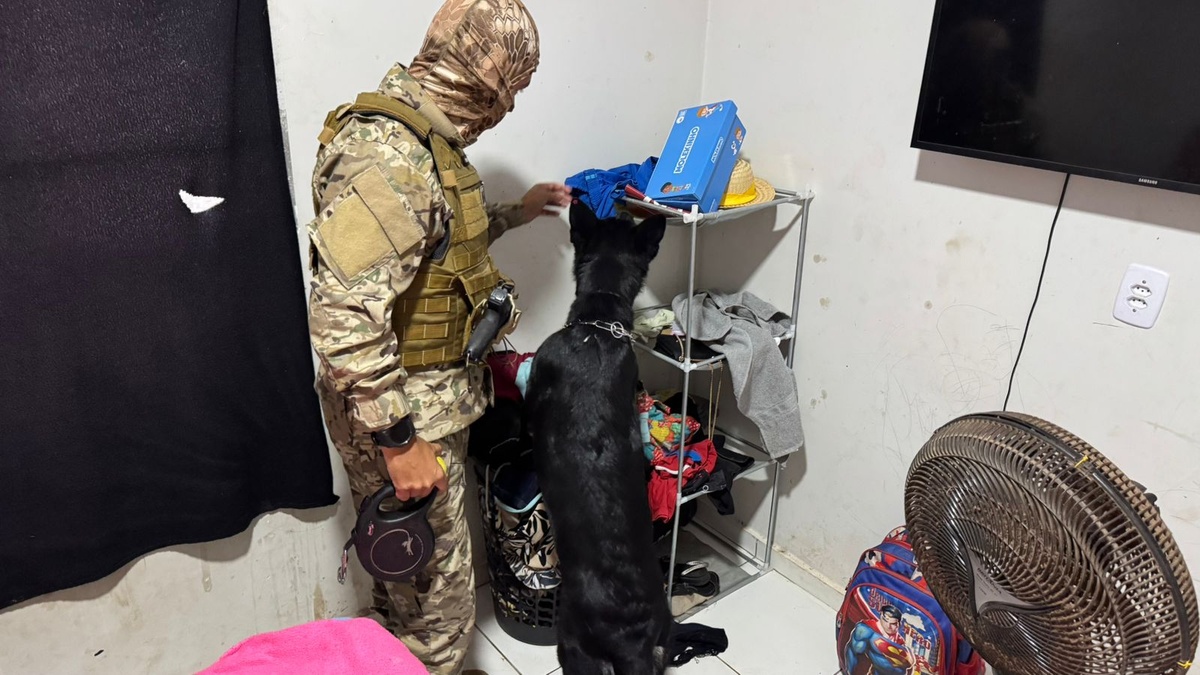 Operação Sintonia Feminina