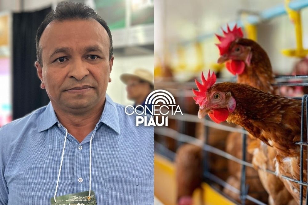 Piauí reforça ações de prevenção após confirmação de foco de gripe aviária no CE