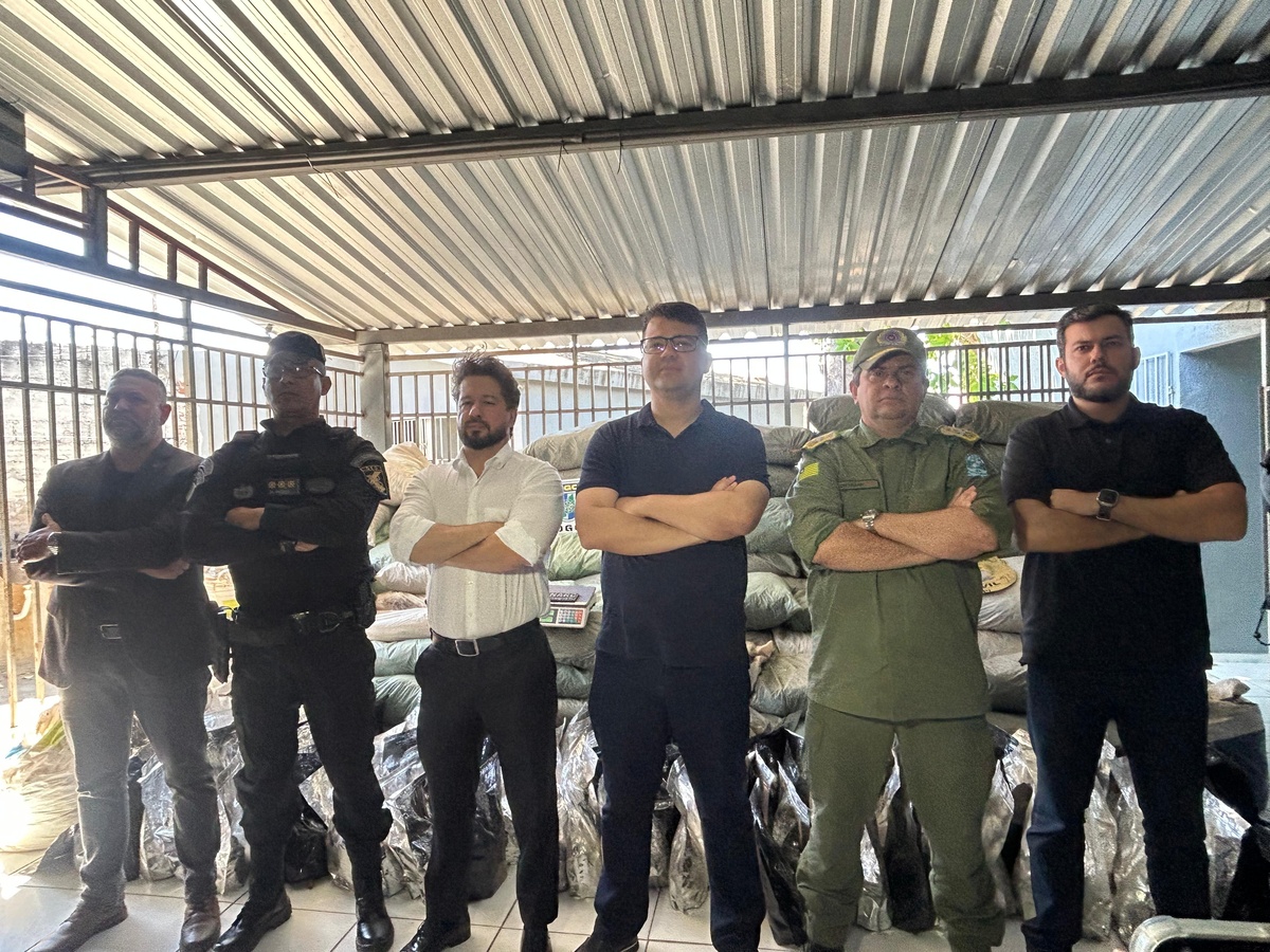 Polícia descobre plantação e apreende mais de 1 tonelada de maconha no Sul do PI