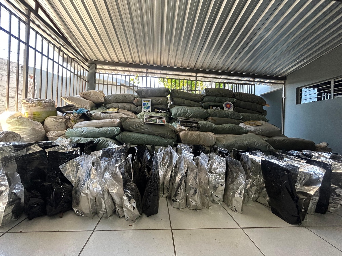 Polícia descobre plantação e apreende mais de 1 tonelada de maconha no Sul do PI