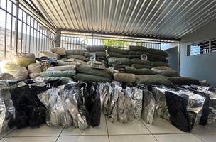 Polícia descobre plantação e apreende mais de 1 tonelada de maconha no Sul do PI (Foto: Conecta Piauí)