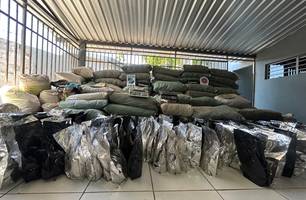 Polícia descobre plantação e apreende mais de 1 tonelada de maconha no Sul do PI (Foto: Conecta Piauí)