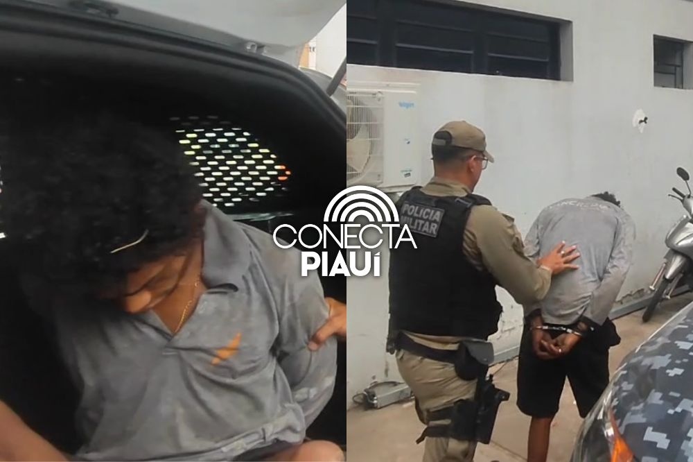 Polícia prende homem suspeito de arrombar e furtar loja na zona Leste de Teresina