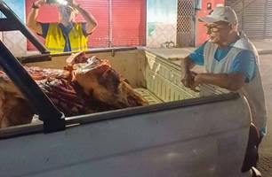 Quase 300 kg de carne clandestina são apreendidos pela Vigilância Sanitária em Teresina (Foto: Reprodução)