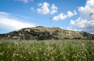 Refis Ambiental: multas poderão ser pagas com desconto ou projetos verdes (Foto: Reprodução)