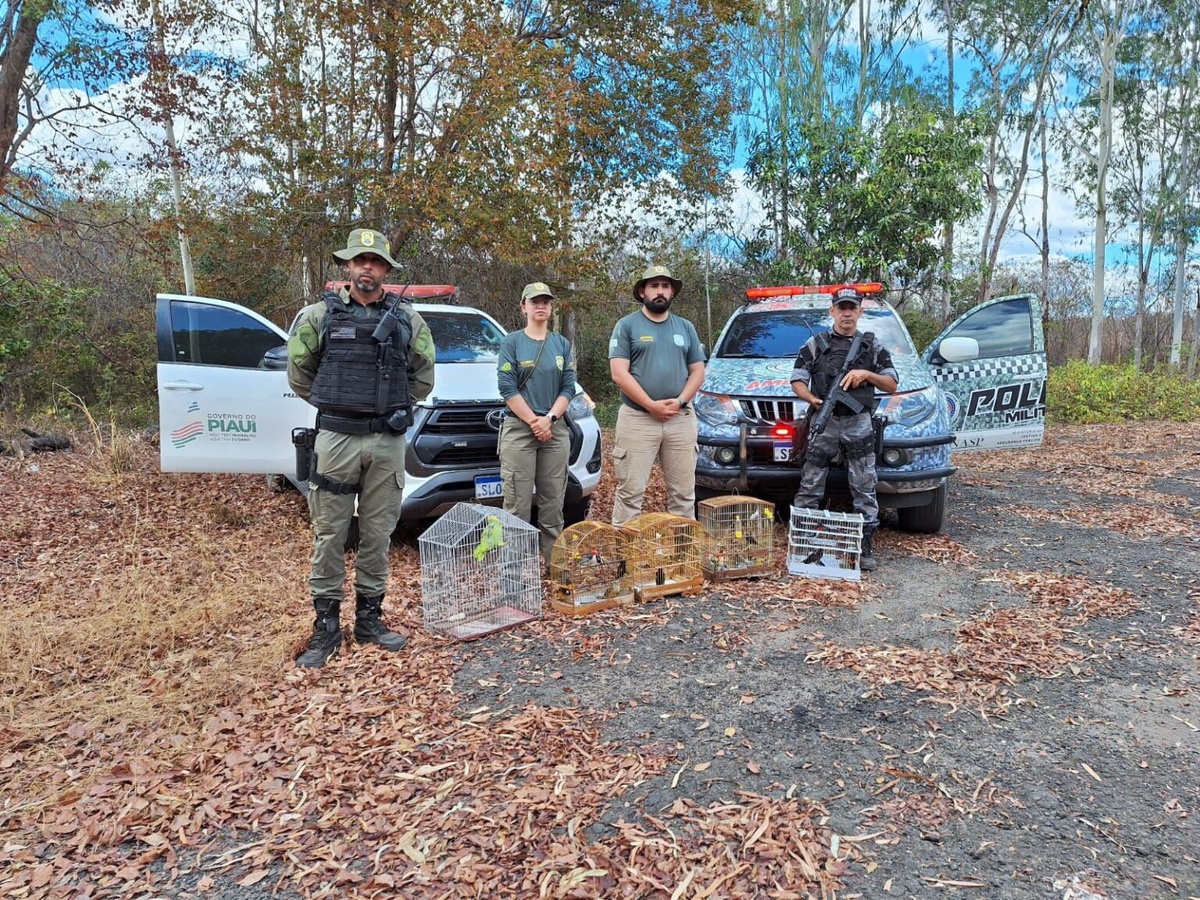 Semarh realiza soltura e devolve animais silvestres à natureza em Curimatá
