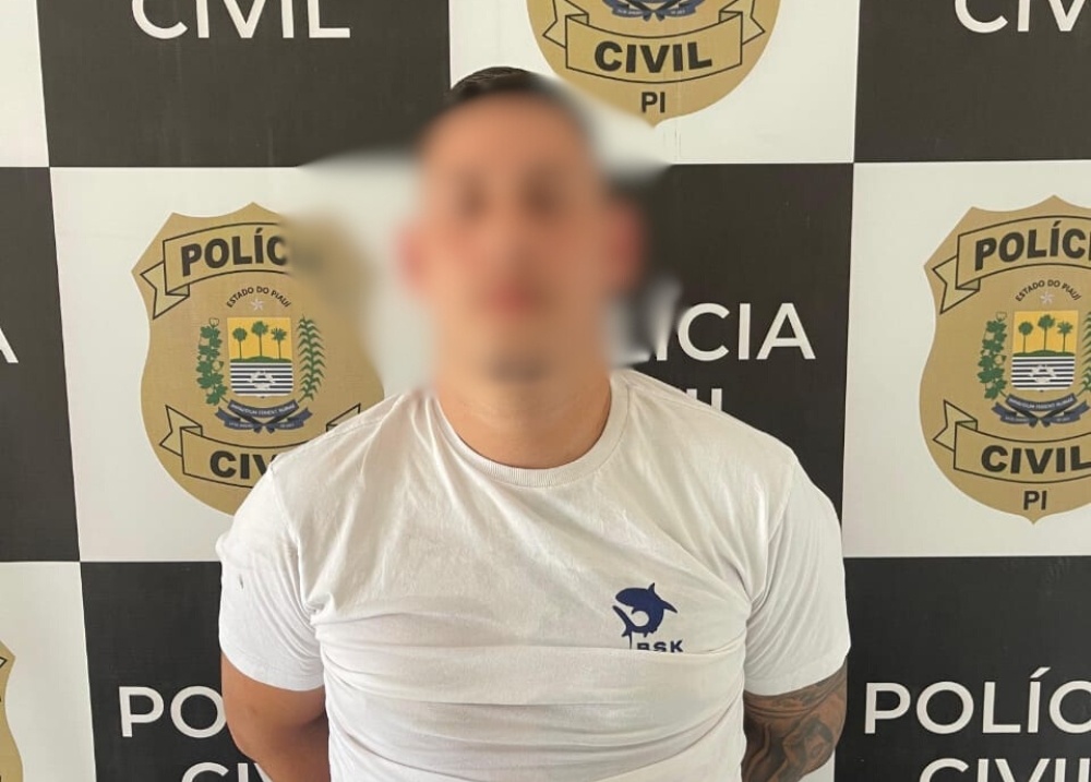 Suspeito de roubo e adulteração de veículos é preso na zona Sul de Teresina