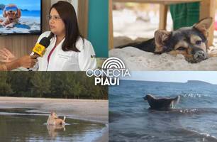 Veterinária alerta sobre cuidados com pets na praia durante o período de férias (Foto: Reprodução)