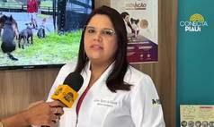 Dicas da veterinária Lilian Moraes ajudam na escolha da ração ideal para pets