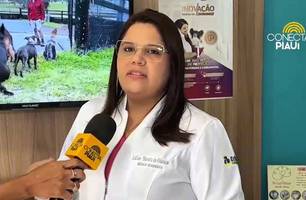 Veterinária Lilian Moraes (Foto: Conecta Piauí)