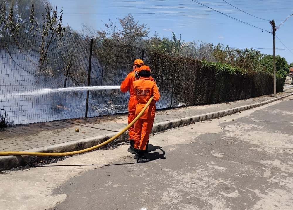 Bombeiros combatem incêndio em vegetação no Dirceu, zona Sudeste de Teresina