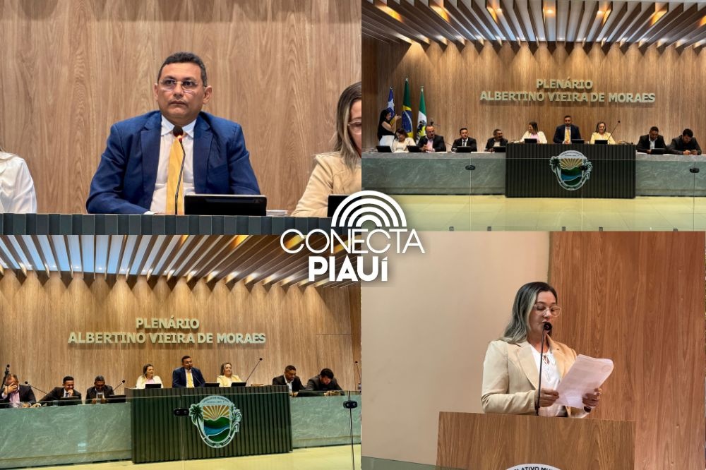 Câmara de Demerval Lobão realiza 15ª Sessão Ordinária com votações e projetos