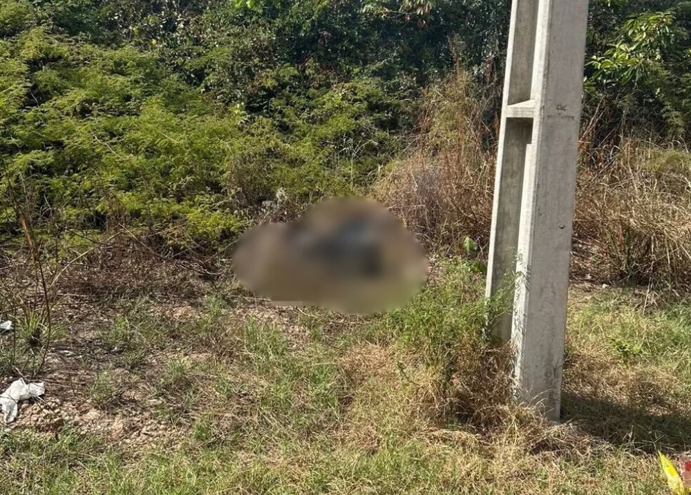 Corpo carbonizado é encontrado em terreno baldio na zona Leste de Teresina