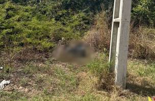 Corpo carbonizado é encontrado em terreno baldio na zona Leste de Teresina (Foto: Divulgação/PMPI)