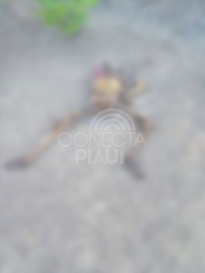 Corpo em decomposição é encontrado no bairro Jardim Europa em Teresina