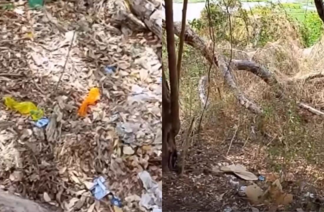 Denúncia aponta prática de atos sexuais em área pública próxima ao Parque Floresta Fóssil, em Teresina