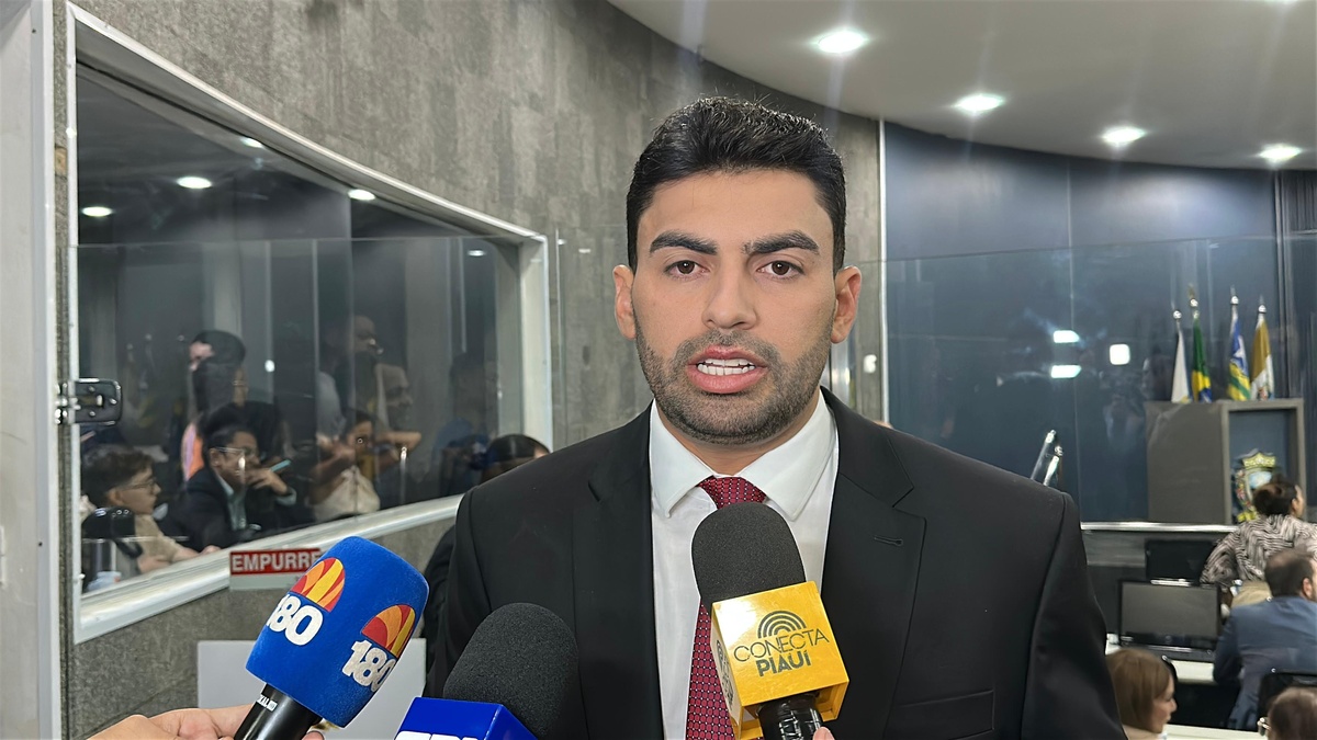 Draga Alana diz que é preciso intensificar campanha de deputado estadual para 2026
