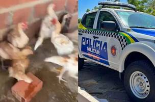 Homem invade casa para furtar galinhas e é preso em flagrante em Regeneração (Foto: Reprodução)
