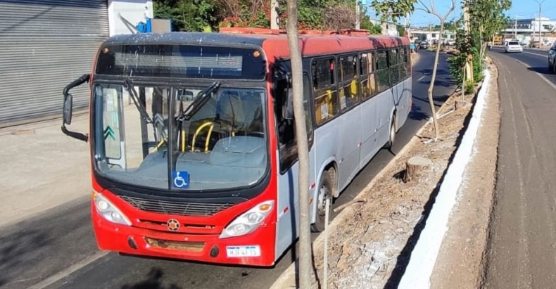Idosa morre atropelada por ônibus após varrer calçada de casa em Picos