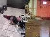 Jovem é executado enquanto cortava cabelo em Teresina; barbeiro também foi morto