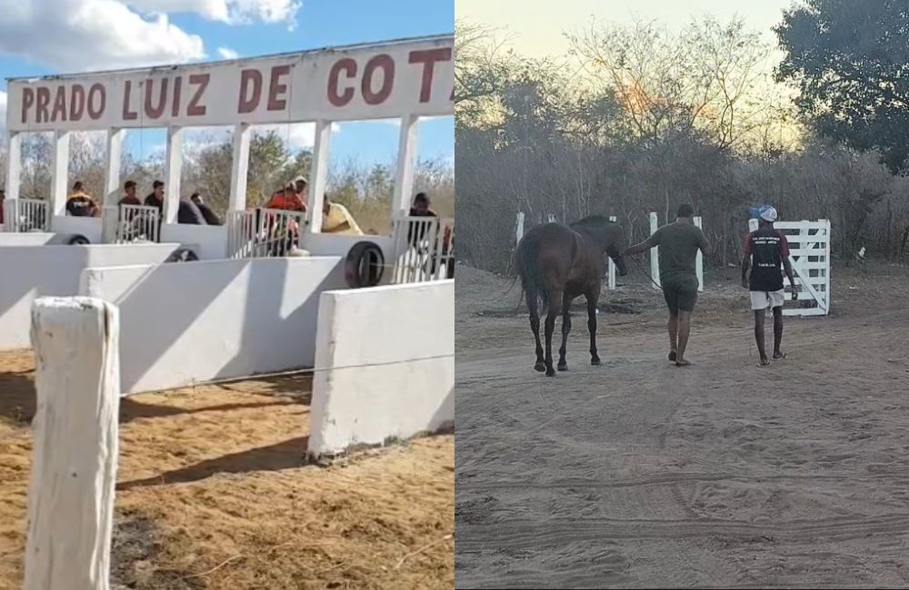 Nazaré do Piauí vive fim de semana de emoção com a Festa dos Vaqueiros