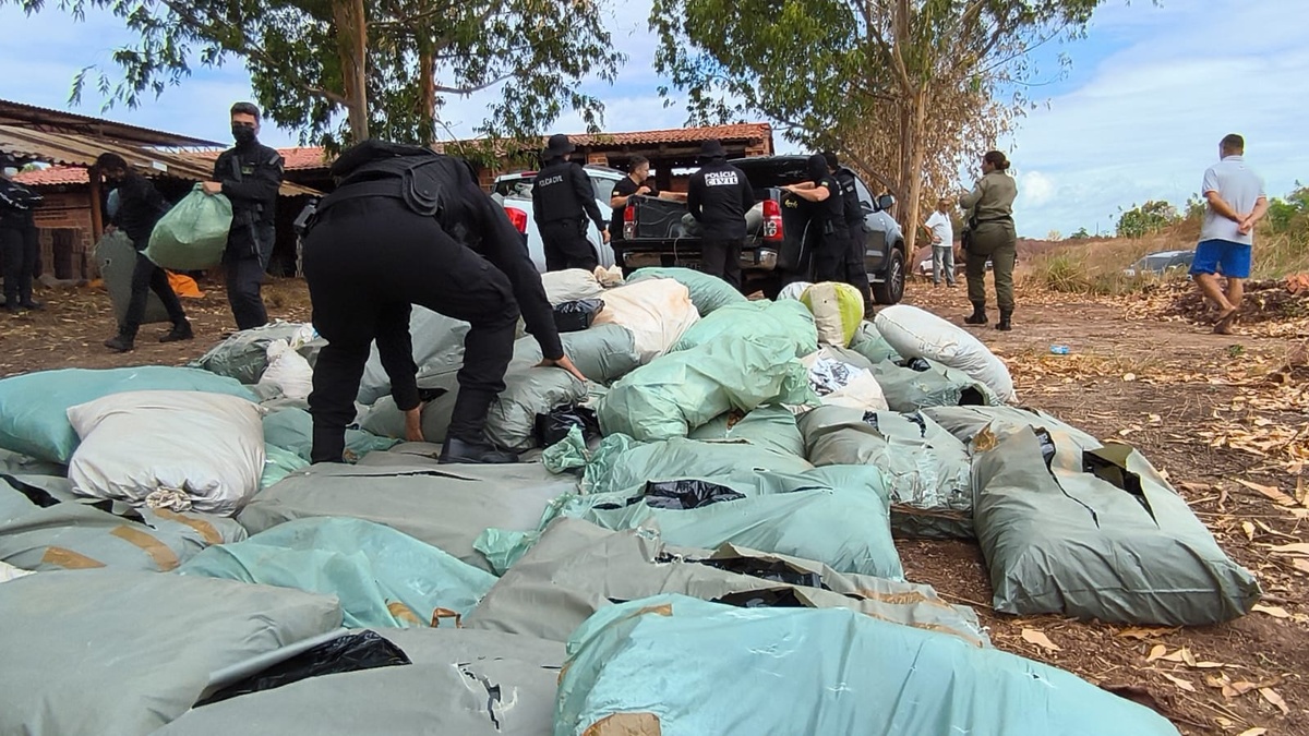 Polícia Civil e Militar incineram mais de 1,5 tonelada de drogas em Teresina