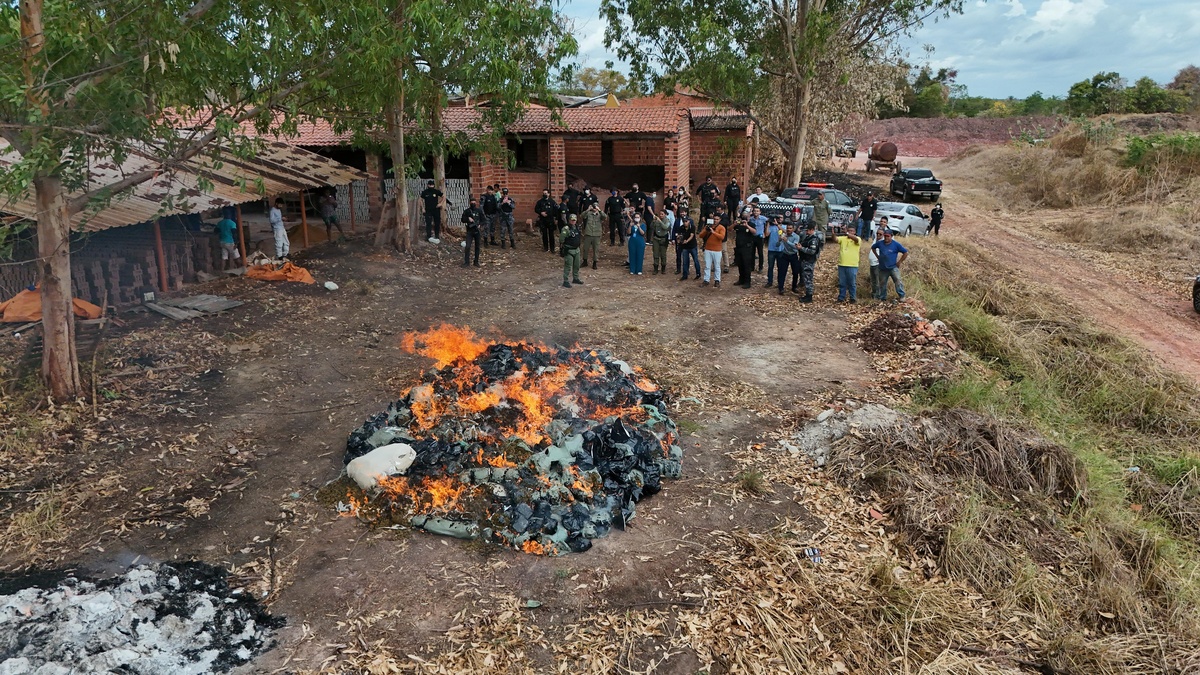 Polícia Civil e Militar incineram mais de 1,5 tonelada de drogas em Teresina