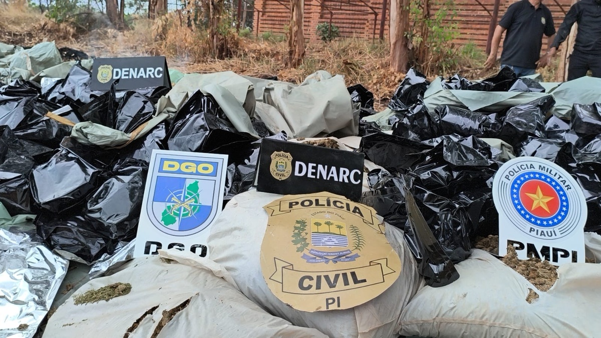 Polícia Civil e Militar incineram mais de 1,5 tonelada de drogas em Teresina