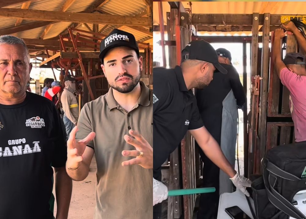 Prefeito de Aroazes acompanha de perto ações do Programa Piauí + Genética no município