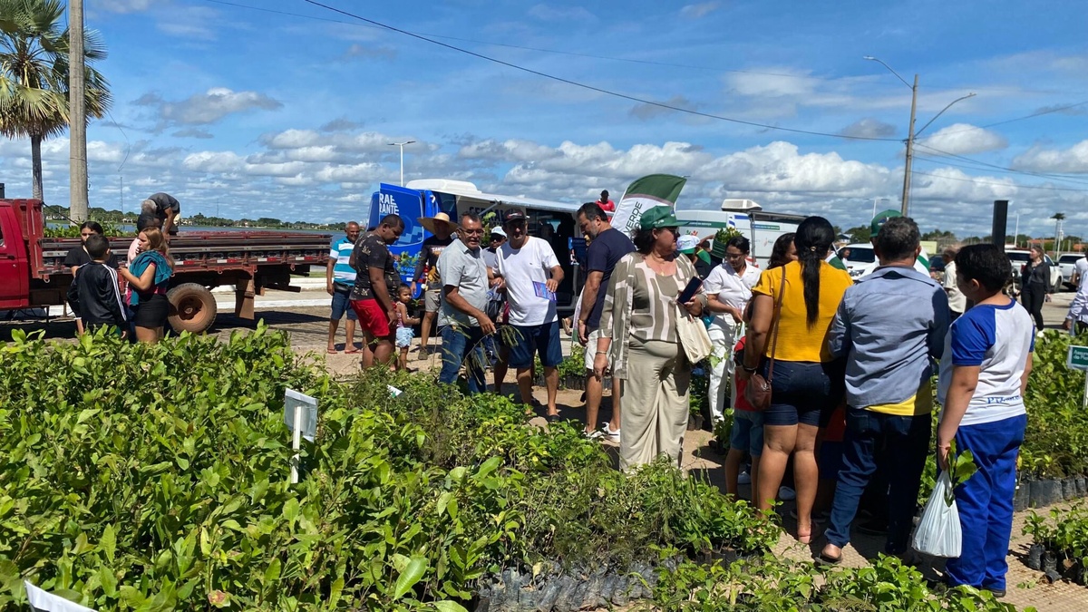 Semarh distriubiu mais de 66 mil mudas de plantas em 2025