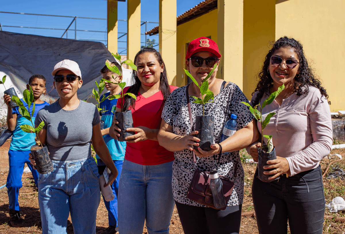 Semarh distriubiu mais de 66 mil mudas de plantas em 2025