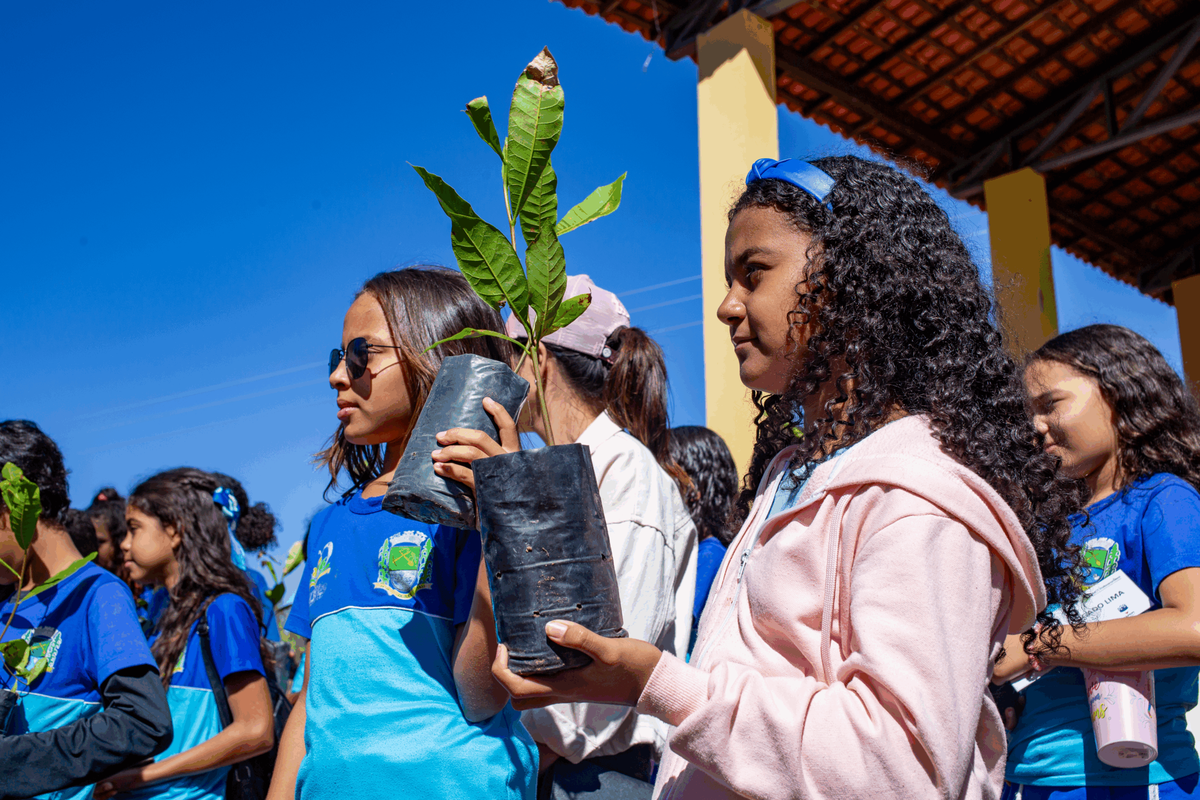 Semarh distriubiu mais de 66 mil mudas de plantas em 2025