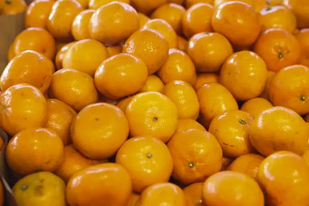 Tangerina