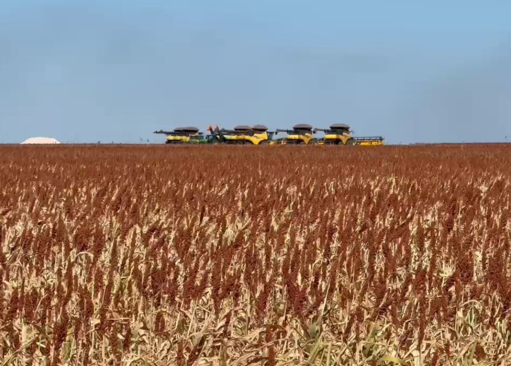 Transerrados avança e deve transformar economia do sudoeste piauiense até 2026