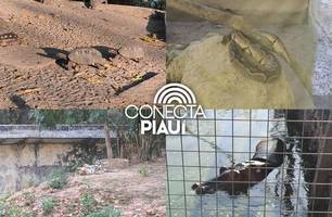 Zoobotânico de Teresina passa por revitalização e terá visitas durante a noite (Foto: Conecta Piauí)