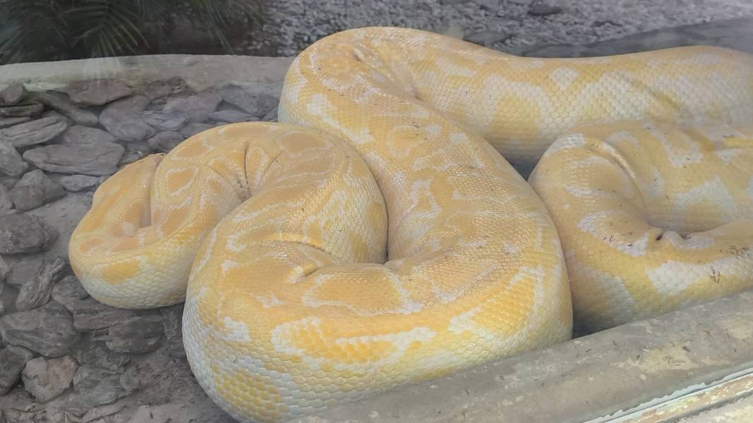 Zoobotânico de Teresina