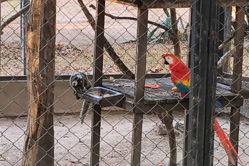 Zoobotânico de Teresina