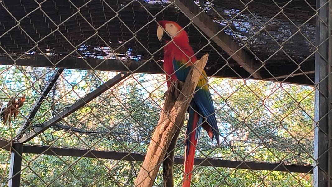 Zoobotânico de Teresina
