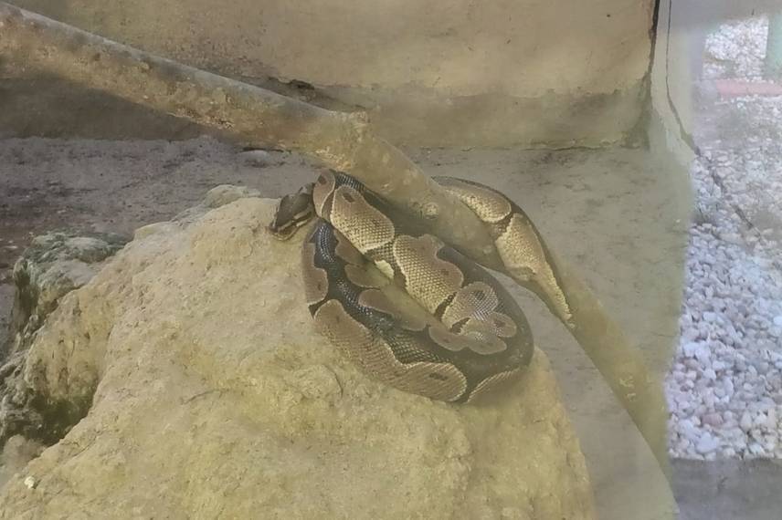 Zoobotânico de Teresina