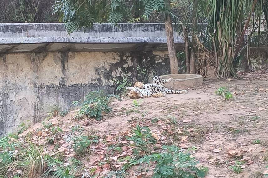 Zoobotânico de Teresina