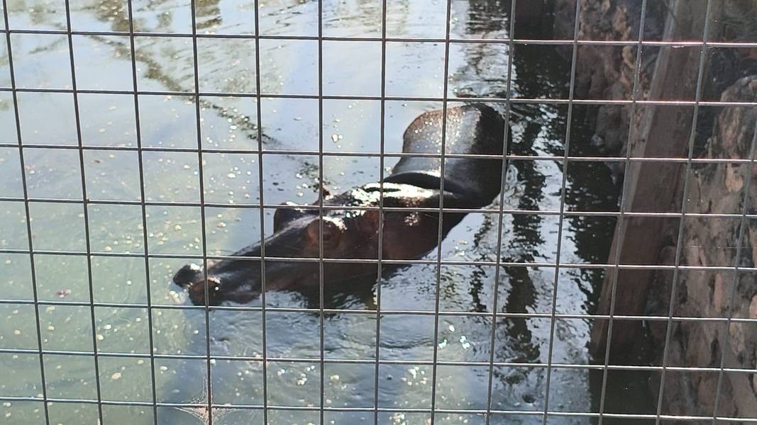 Zoobotânico de Teresina