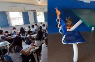 E.M. Angelim é alvo de denúncias por insalubridade e falta de condições de ensino (Foto: Imagens enviadas ao Conecta Piauí)